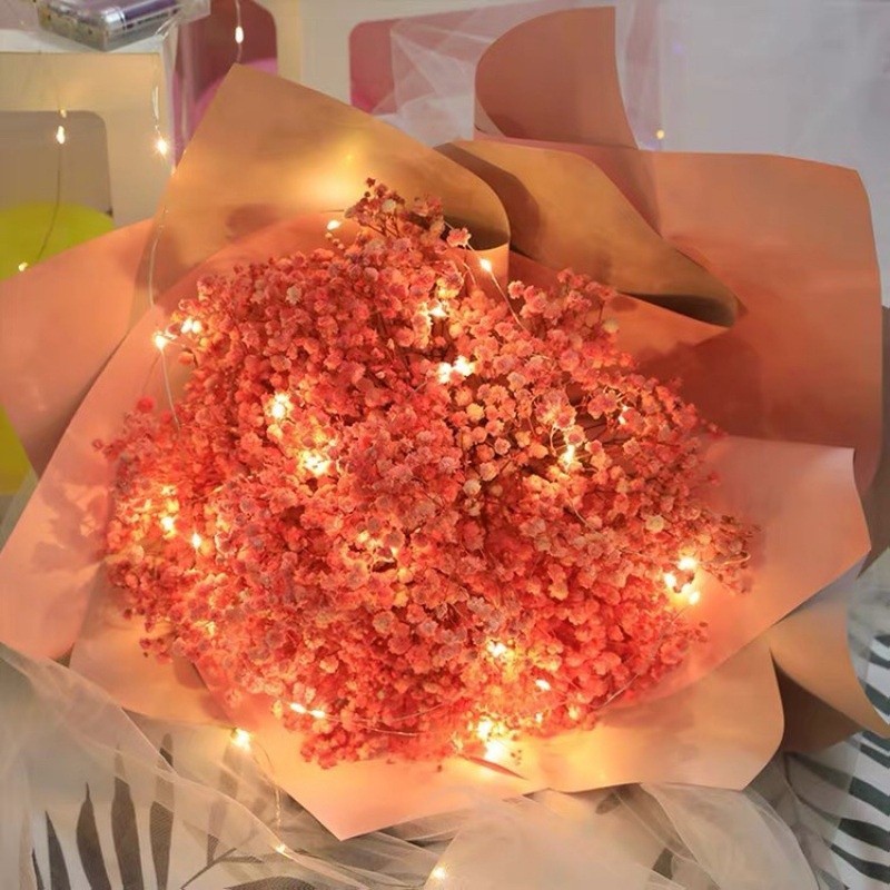 Dây đèn Led đom đóm 3 mét , đèn led fairy light trang trí tiệc