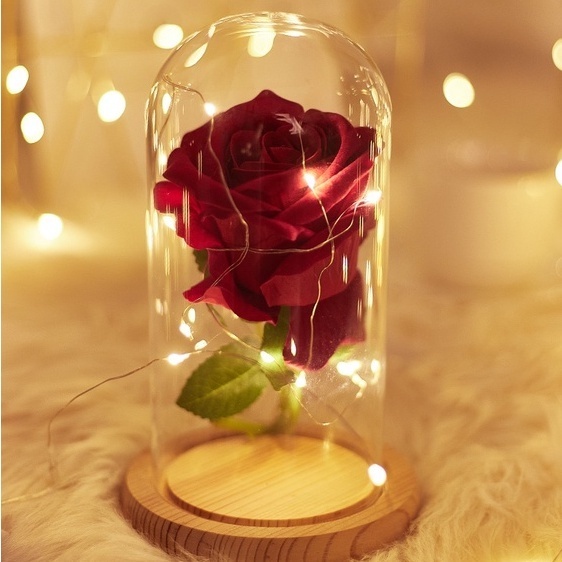 Dây đèn Led đom đóm 3 mét , đèn led fairy light trang trí tiệc