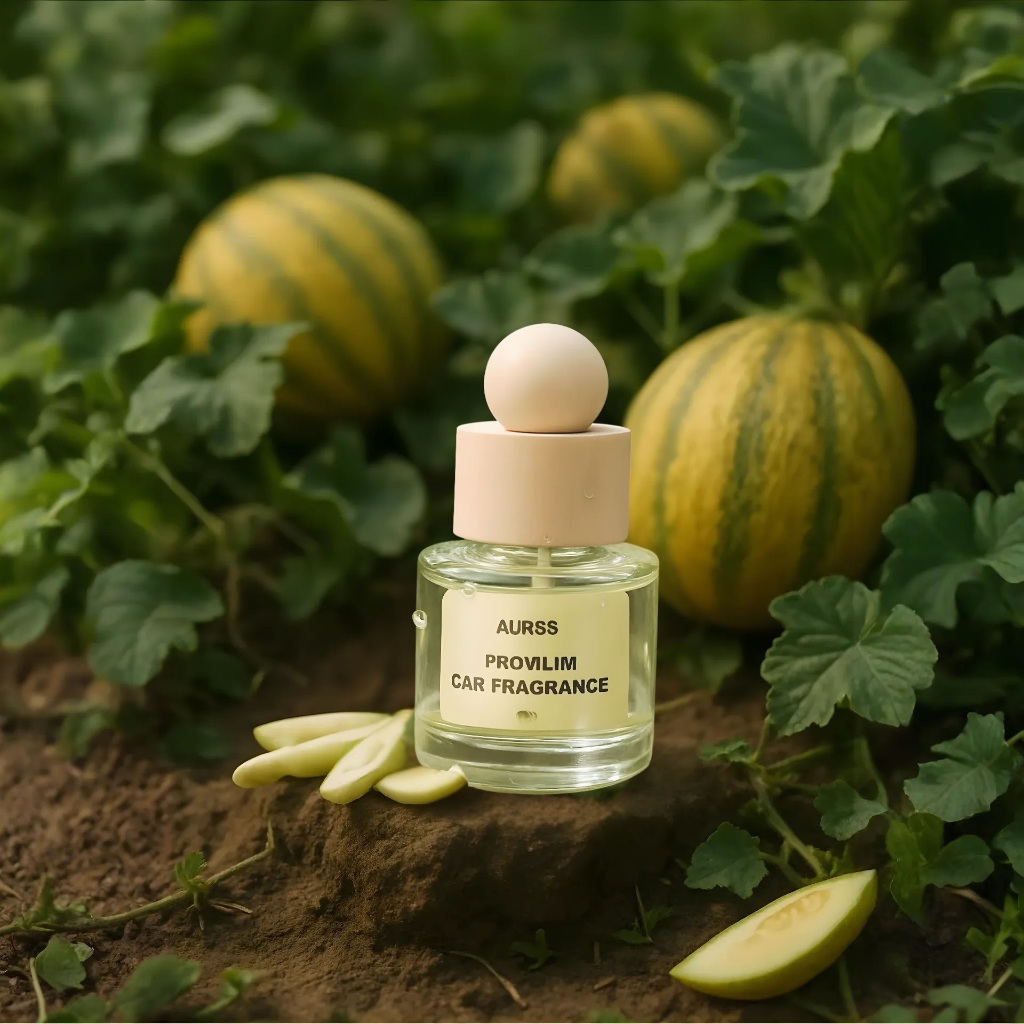 Combo 2 Lọ Nước Hoa Ô Tô Hương Dưa Gang + Sả Chanh 50ml Cao Cấp - Nước Hoa Ô Tô Khử Mùi, Chống Say Xe, Mùi Hương ThChanh