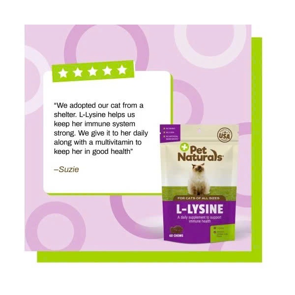 Viên Nhai Pet Naturals L-LYSINE 90g Túi 60 Viên, Bổ Sung Lysine, Hỗ Trợ Hệ Miễn Dịch Cho Mèo Petlove