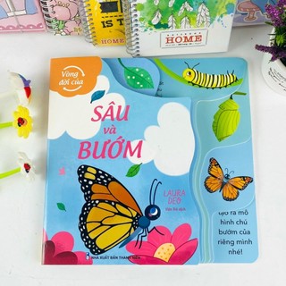 Sách - Vòng Đời Của Sâu Và Bướm/Nòng Nọc và Ếch - ndbooks (Arcturus - Sách bản quyền UK)