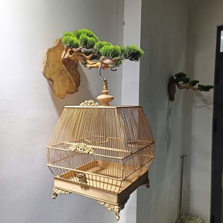 Móc treo lồng chim làm bằng gỗ lũa, tán cây giả bằng nhựa. Có thể treo lồng chim Chào Mào, Mi, Khứu, chòe,