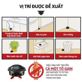 Thuốc Diệt Gián Hộp 12 Viên YATASMART - Hiệu Quả An Toàn Cho Con Người Và Vật Nuôi, Diệt Tận Gốc