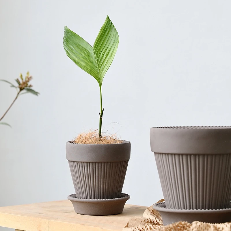 Chậu xi măng phong cách Bắc Âu –chậu trồng cây cảnh, lan, sen đá, xương rồng kèm khay lót