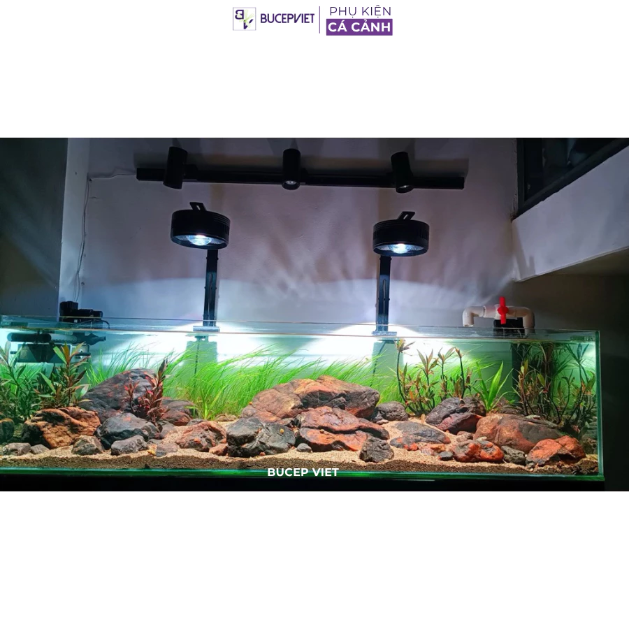 COCO FA Series lắp trên hồ thủy sinh 1