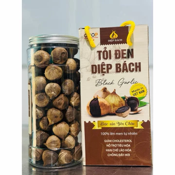 Tỏi đen diệp bách 500g loại VIP