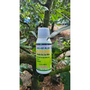Ra hoa Xanh kali ki Bo chặn đọt đốt đọt 500ml