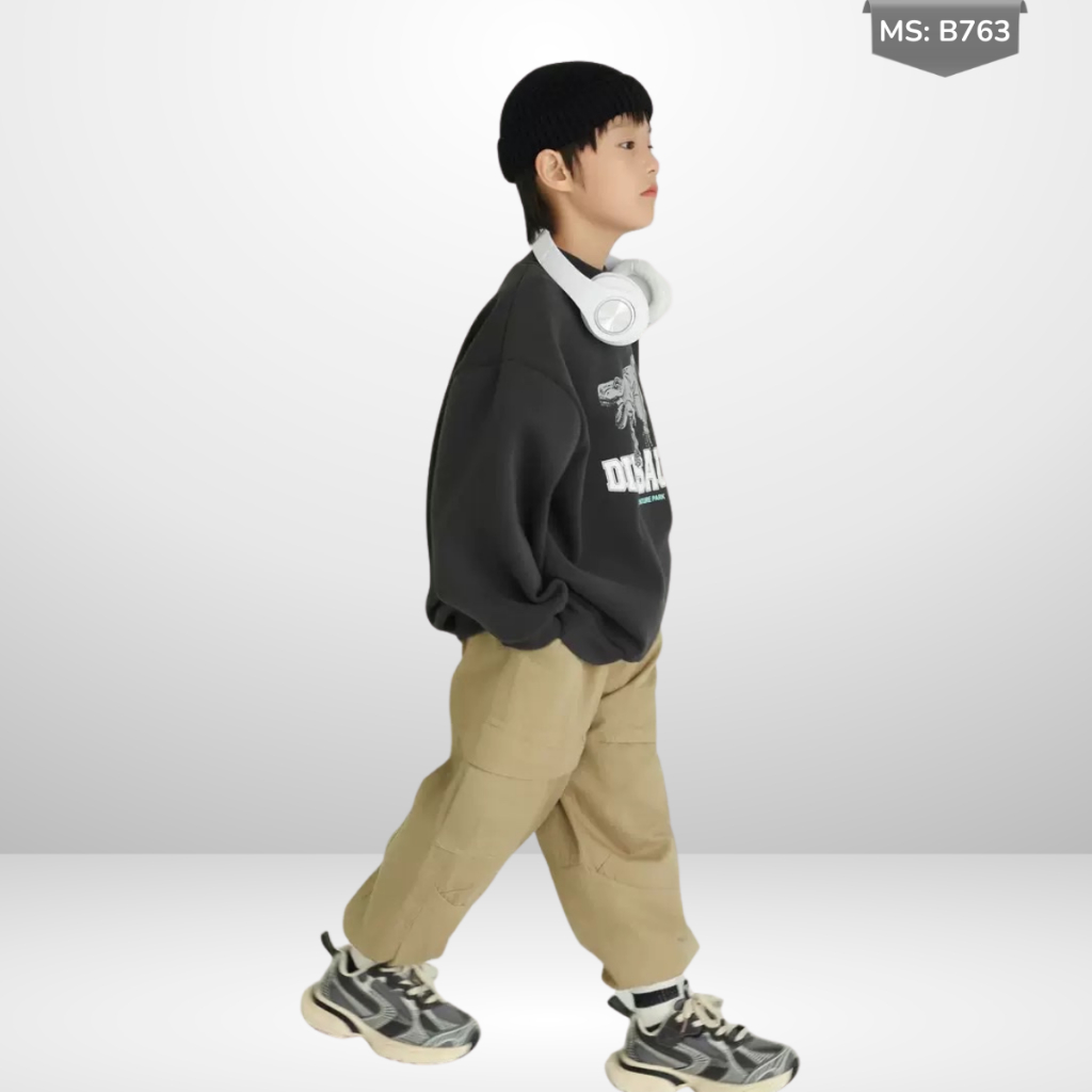 Áo Nỉ Cotton Sweater Thu Đông Cho Bé Trai, Bé Gái, Áo Nỉ Bông Form Rộng B763 | JJ Kids Fashion