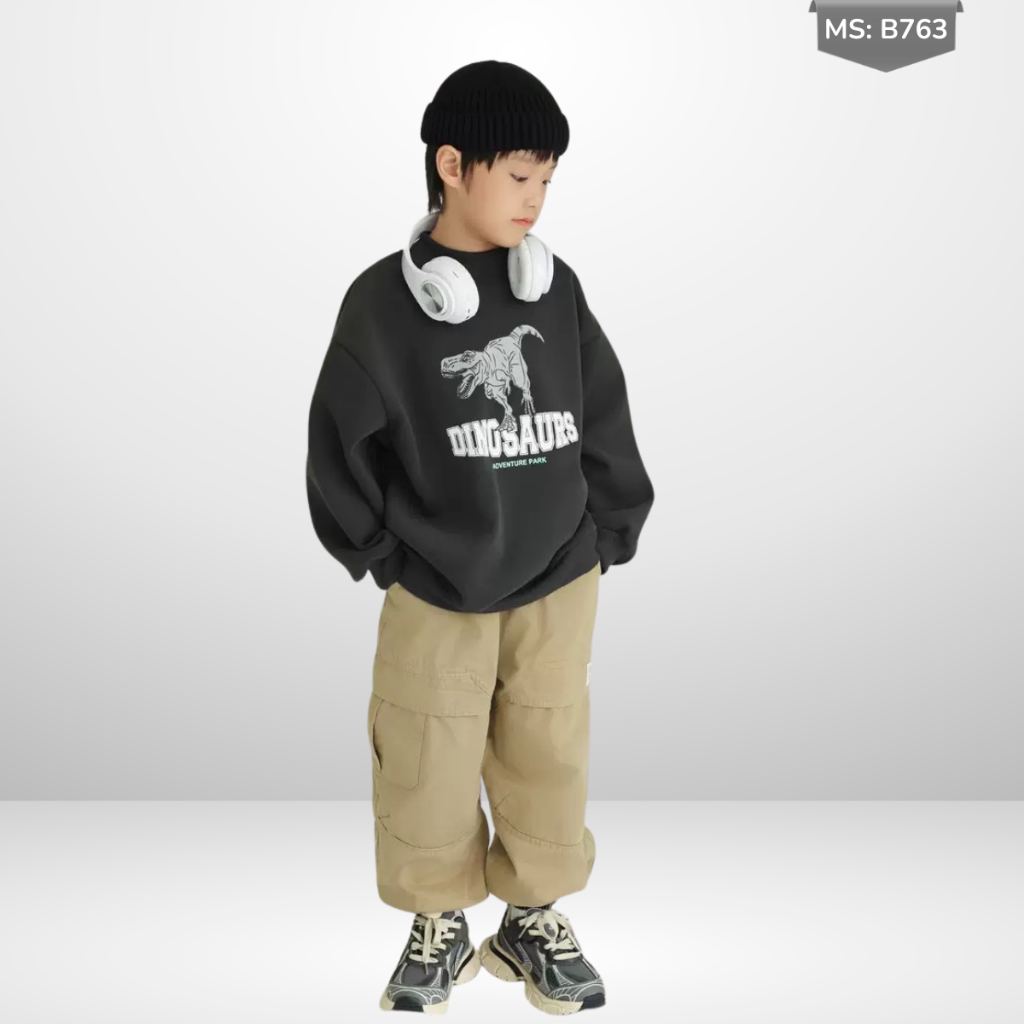 Áo Nỉ Cotton Sweater Thu Đông Cho Bé Trai, Bé Gái, Áo Nỉ Bông Form Rộng B763 | JJ Kids Fashion