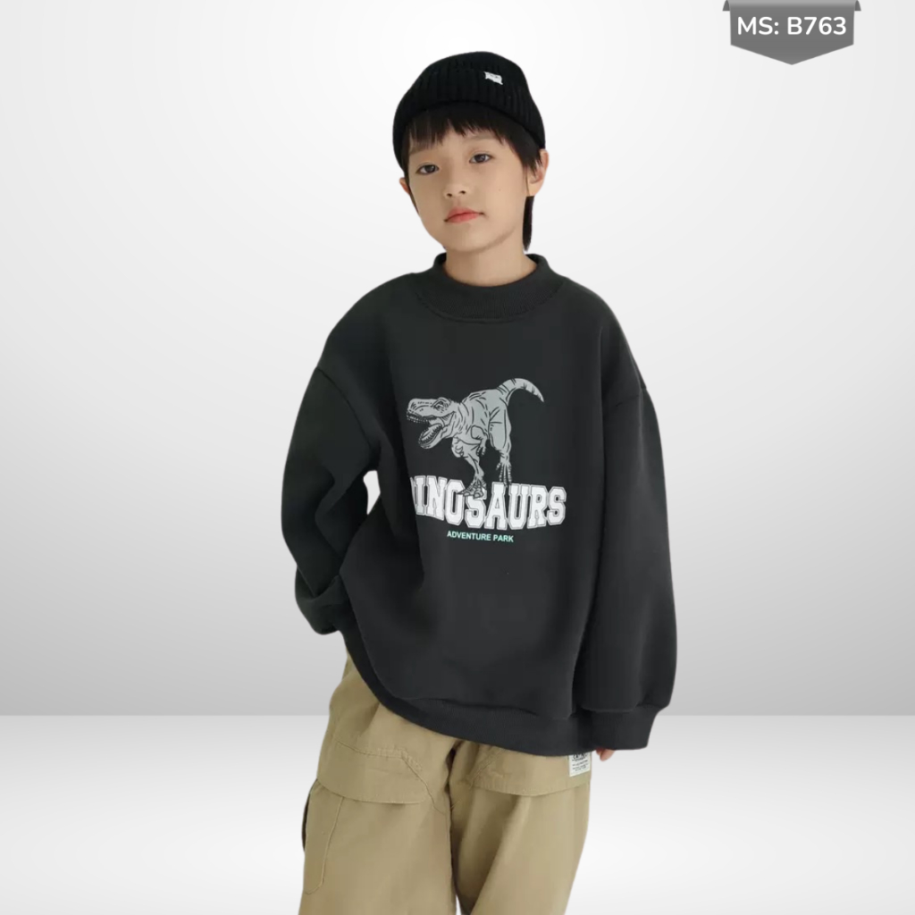 Áo Nỉ Cotton Sweater Thu Đông Cho Bé Trai, Bé Gái, Áo Nỉ Bông Form Rộng B763 | JJ Kids Fashion