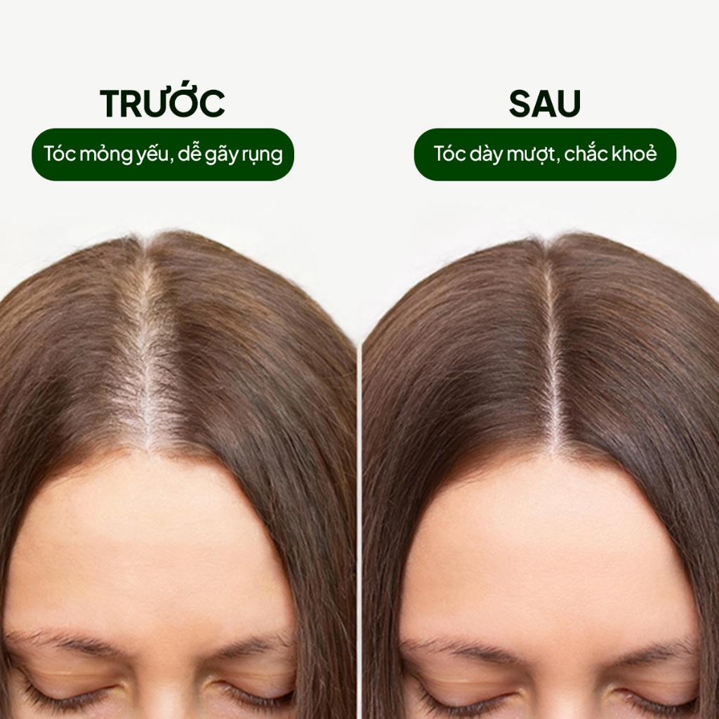 Dầu gội đầu trà xanh phục hồi hư tổn Wellmate Keratin làm sạch sâu nuôi dưỡng tóc bóng mượt 500ml
