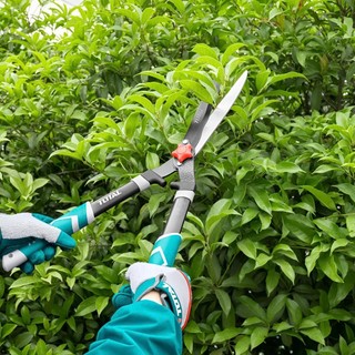 ĐỒ NGHỀ TOTAL Kéo cắt  cây kiểng THT1516001 / THT1516301<HÀNG CHÍNH HÃNG>