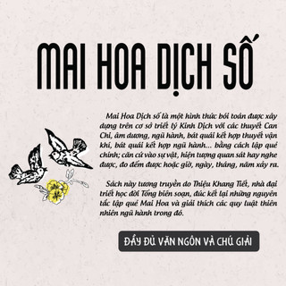 Sách - Mai Hoa Dịch Số - Nguyễn Tuấn Vũ