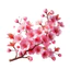 Hình ủi nhiệt quần áo mẫu HOA ANH ĐÀO nhiều mẫu,nhiều size, ủi tại nhà bằng bàn ủi