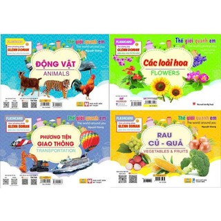 Sách - Flashcard - Thế Giới Quanh Em - Bảng chữ cái Tiếng Anh (PP  Glenn Doman) - ndbooks