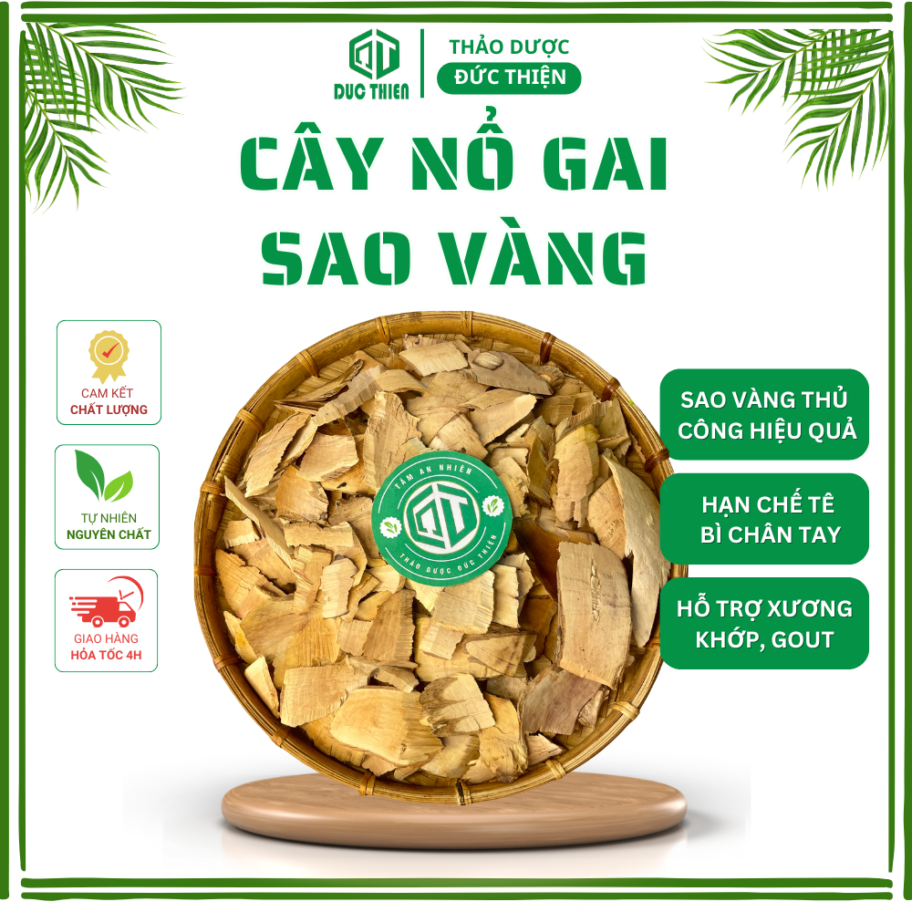 Cây Nổ Gai Sao Vàng Đức Thiện (Liệu Trình 14 Ngày) Phèn Trắng, Cơm Nguội Hỗ Trợ Vận Động Linh Hoạt