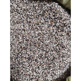 NẾP CẨM LÀO VỤ MỚI ĐỒ XÔI SIÊU NGON 1kg