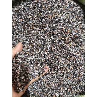 NẾP CẨM LÀO VỤ MỚI ĐỒ XÔI SIÊU NGON 1kg