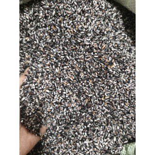 NẾP CẨM LÀO VỤ MỚI ĐỒ XÔI SIÊU NGON 1kg