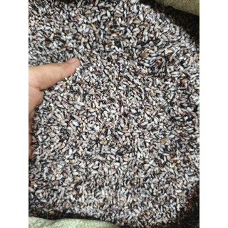 NẾP CẨM LÀO VỤ MỚI ĐỒ XÔI SIÊU NGON 1kg