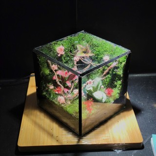 Terrarium Phong Thủy "VƯỜN YÊU THƯƠNG" - Khoảng Xanh Nuôi Dưỡng Tâm Hồn Quà tặng ý nghĩa ( Hỏa Tốc )