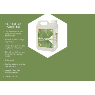 GLUCCO Ca+B – Phân Bón Canxi Bo Gluconate | Tăng Đậu Trái – Ngừa Nứt Trái – Ngừa Thối Đầu Hoa can 5l