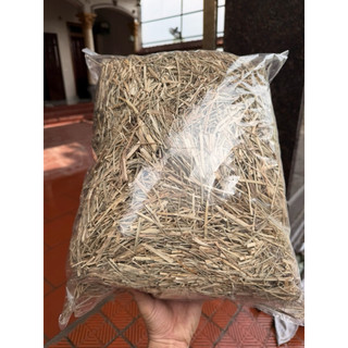 Cỏ mần trầu khô 1KG, sạch, thơm, dùng gội đầu, giúp mượt tóc, mọc tóc, sạch gàu, mát gan, lợi tiểu