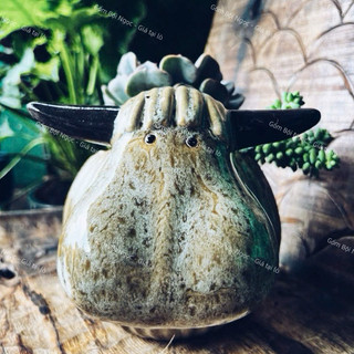 Bò Sữa/Bò Bí Gốm Trồng Bông/Hoa - Trang Trí Tiểu Cảnh - Sân Vườn - Gốm Lái Thiêu - Gốm Bình Dương