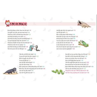 Sách: Quiz! Khoa học kì thú - Bò sát - Lưỡng cư
