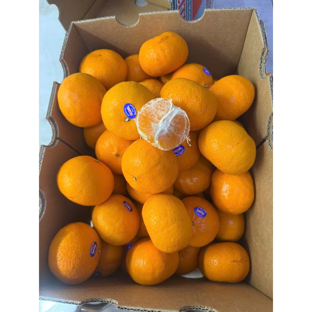 [ JENNY FRUIT ] Quýt Úc vào mùa siu rẻ siu ngọt