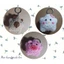Móc khóa ngôi sao capypara, heo, mèo hello kitty - handmade len - amigurumi - crochet