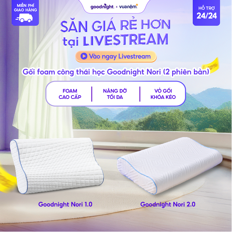 Gối Foam Goodnight Nori Gối Công Thái Học 30*60cm Lượn Sóng Nâng Đỡ, Vua Nệm, Gối memory foam