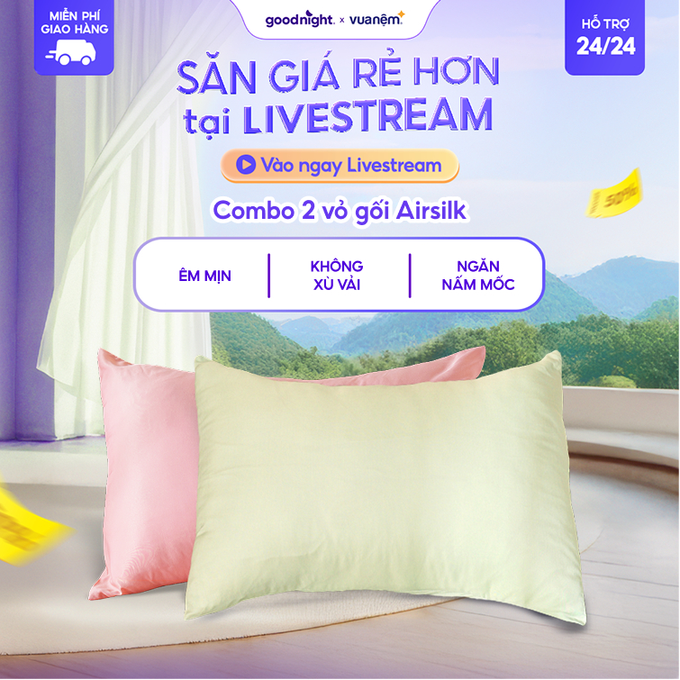Combo 2 vỏ gối lụa tencel Goodnight Airsilk 5 tone màu pastel 45x65cm