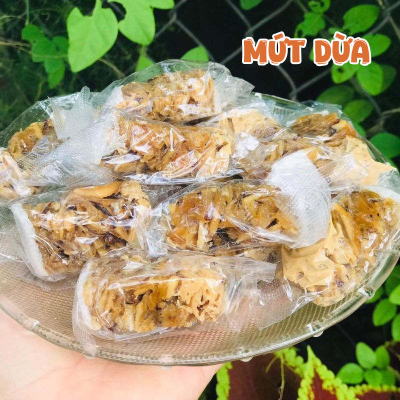 Cây Giống Dừa Tam Quan – Giống Dừa Đặc Sản Bình Định, Nước Ngọt Thanh, Cơm Dày, Năng Suất Cao