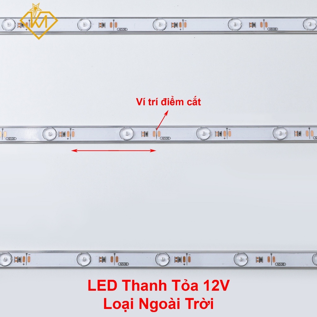 (Combo 10 thanh) LED thanh tỏa 220V dùng trong nhà, 12 bóng/thanh hắt bảng hiệu, sáng hộp đèn.