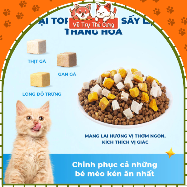 Thức Ăn Hạt Cho Mèo Mr.Vet T2 Hỗ Trợ Mượt Lông Da & Sáng Mắt