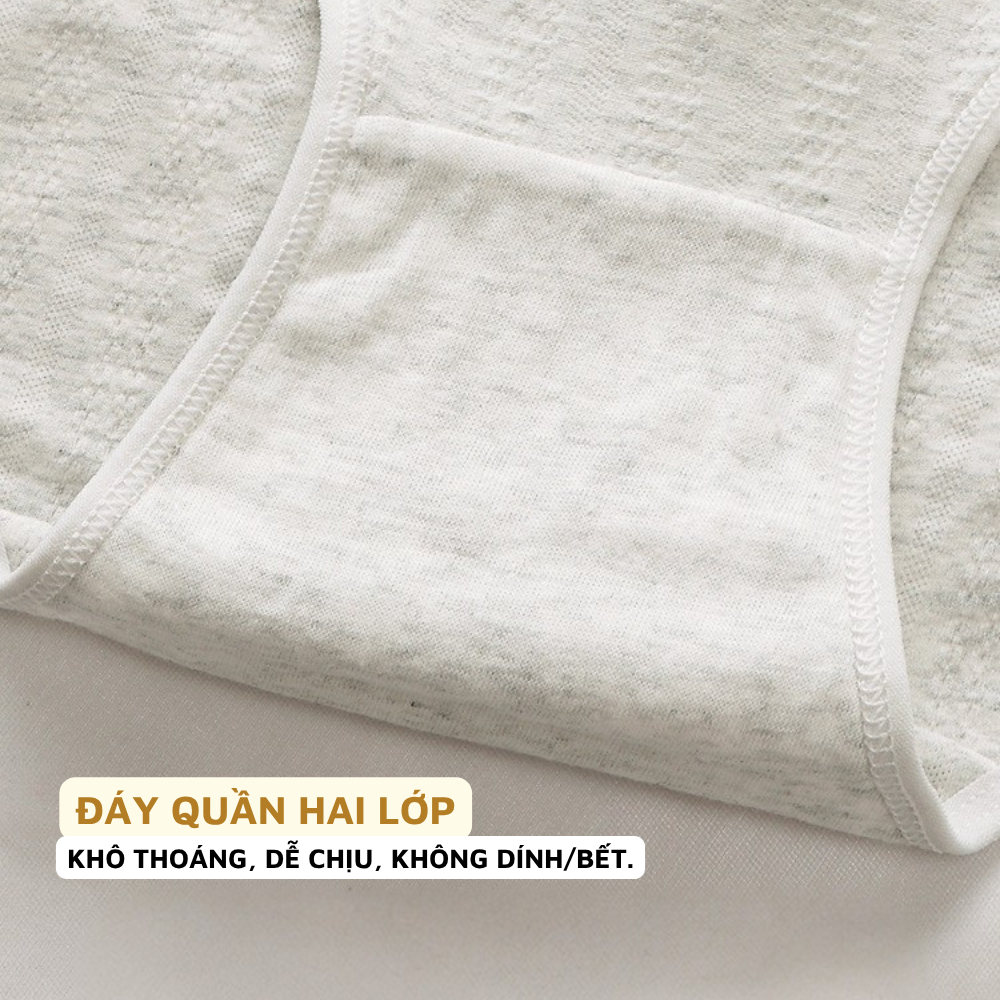 Quần Lót Nữ Cotton Đáy May Kháng Khuẩn, Quần Lót Cotton Cạp Vừa Co Dãn ZANABRA LA68