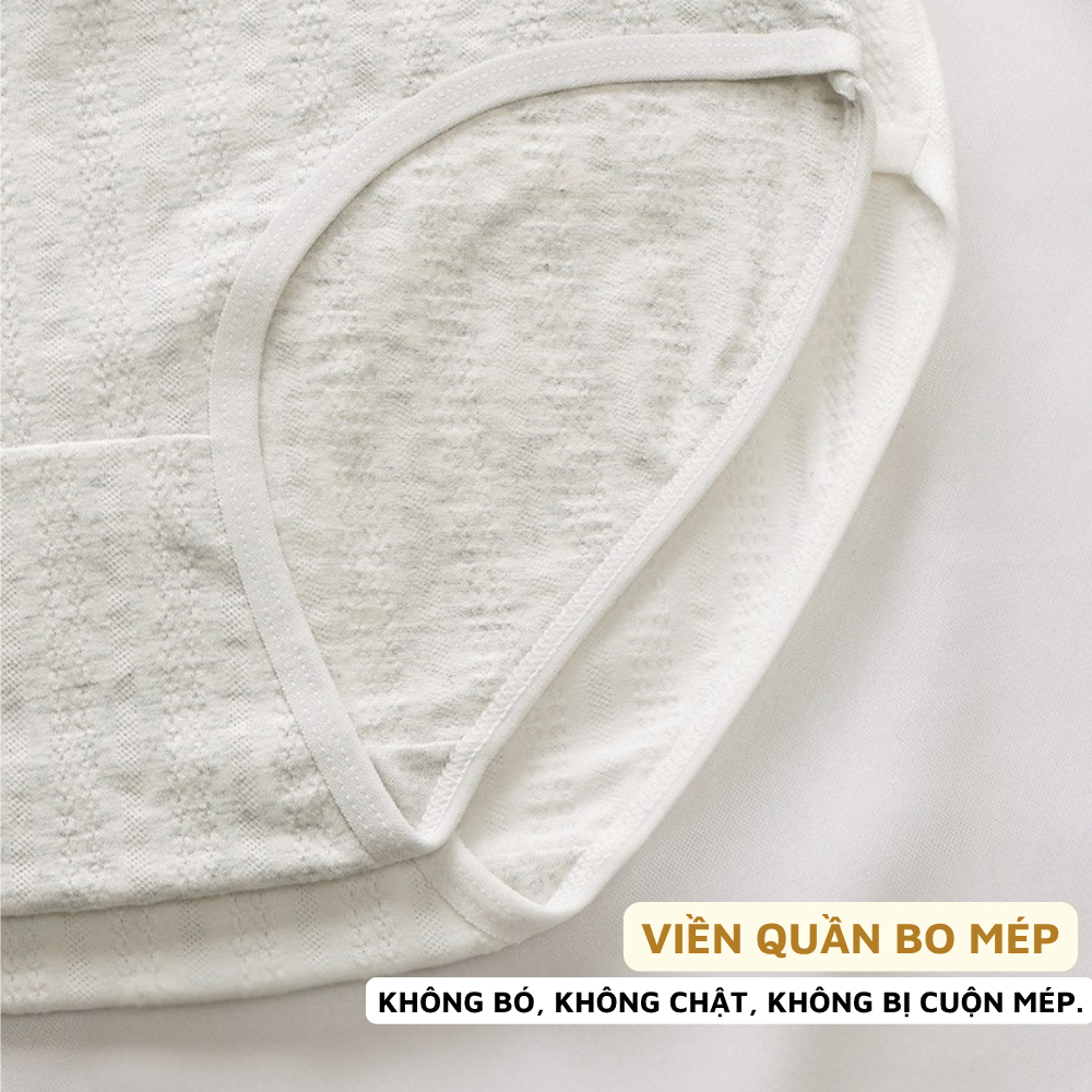 Quần Lót Nữ Cotton Đáy May Kháng Khuẩn, Quần Lót Cotton Cạp Vừa Co Dãn ZANABRA LA68