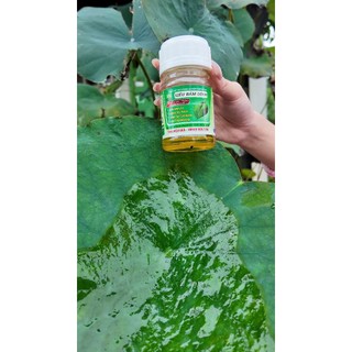S.IÊU BÁM DÍNH - 100ml Công Nghệ NANO Mới Giúp Bám Dính Lâu Loang Trải Mạnh Thẩm Thấu