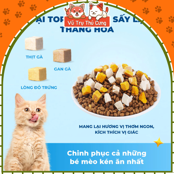 (1kg T1) Thức Ăn Hạt Cho Mèo Mr.Vet T1 Hỗ Trợ Tiêu Hóa Nhạy Cảm, Tiêu Búi lông