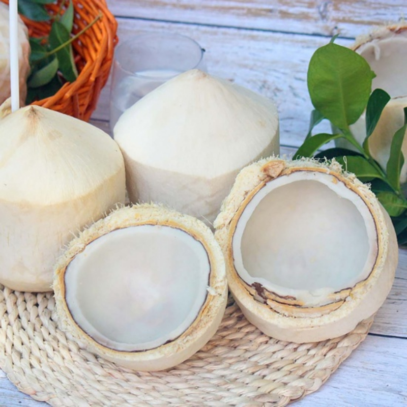 Cây Giống Dừa Ta Lùn – Giống Dừa Nước Ngọt, Dễ Trồng, Cho Trái Sớm, Năng Suất Cao