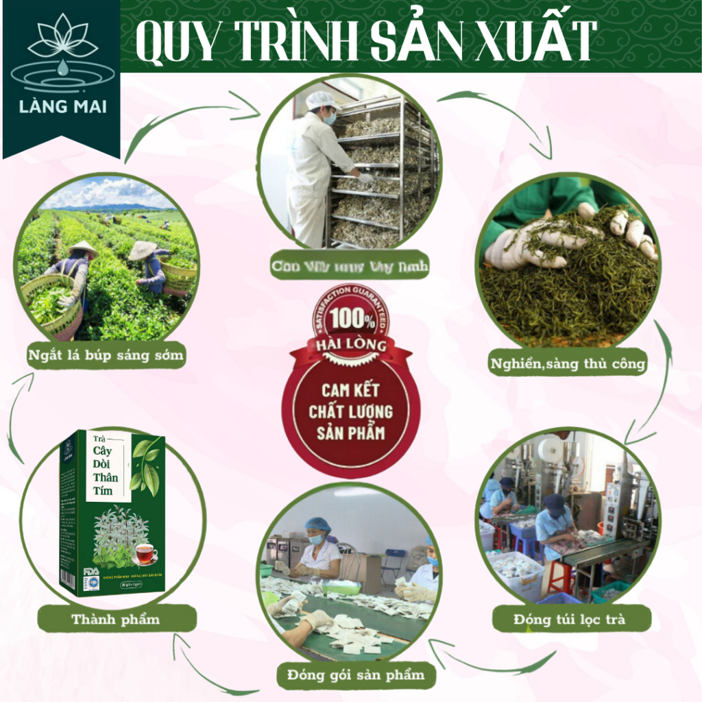Trà Cây Dòi Thân Tím - Làng Mai - 4 Vị thảo dược, thanh lọc phổi hoàn toàn từ thiên nhiên