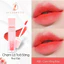 A02- Cam Hồng Đào Son DI Cosmetic lì môi không chì chính hãng