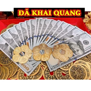 Đồng Xu Hoa Mai 5 Cánh Đồng Mạ Vàng Bỏ Bóp Ví Phong Thuỷ Tài Lộc May Mắn , Quà Tết