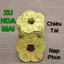 Đồng Xu Hoa Mai Kim Tiền 5 Cánh Mạ Vàng Giá Sỉ , Quà Tết