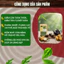 Trà Búp ổi Quả Bứa- DIỆP CHI- Giúp giảm cân hiệu quả, thải độc, thải mỡ thừa, mỡ cơ thể- 30 túi lọc