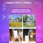 Camera WIFI bóng đèn IMOU Bulb Cam, xoay 360, đàm thoại 2 chiều, cảnh báo còi hú, ban đêm có màu 3MP-5MP