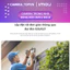 Camera WIFI bóng đèn IMOU Bulb Cam, xoay 360, đàm thoại 2 chiều, cảnh báo còi hú, ban đêm có màu 3MP-5MP