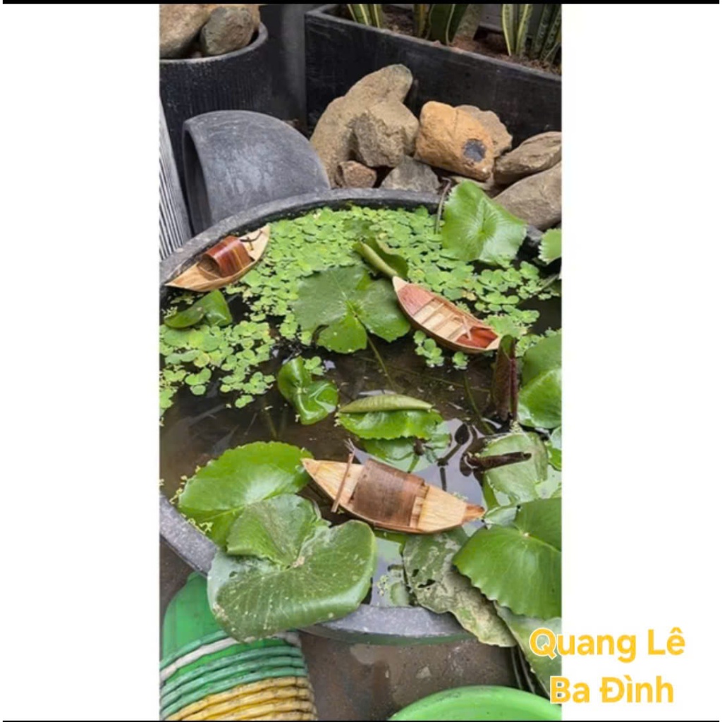 Thuyền mo cau Mui trần và mái che KVT - Chủ đề phương tiện giao thông