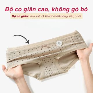 Quần lót nữ cao cấp cạp vừa tôn dáng gợi cảm đáy lót cotton kháng khuẩn họa tiết xinh DEVARI L8383